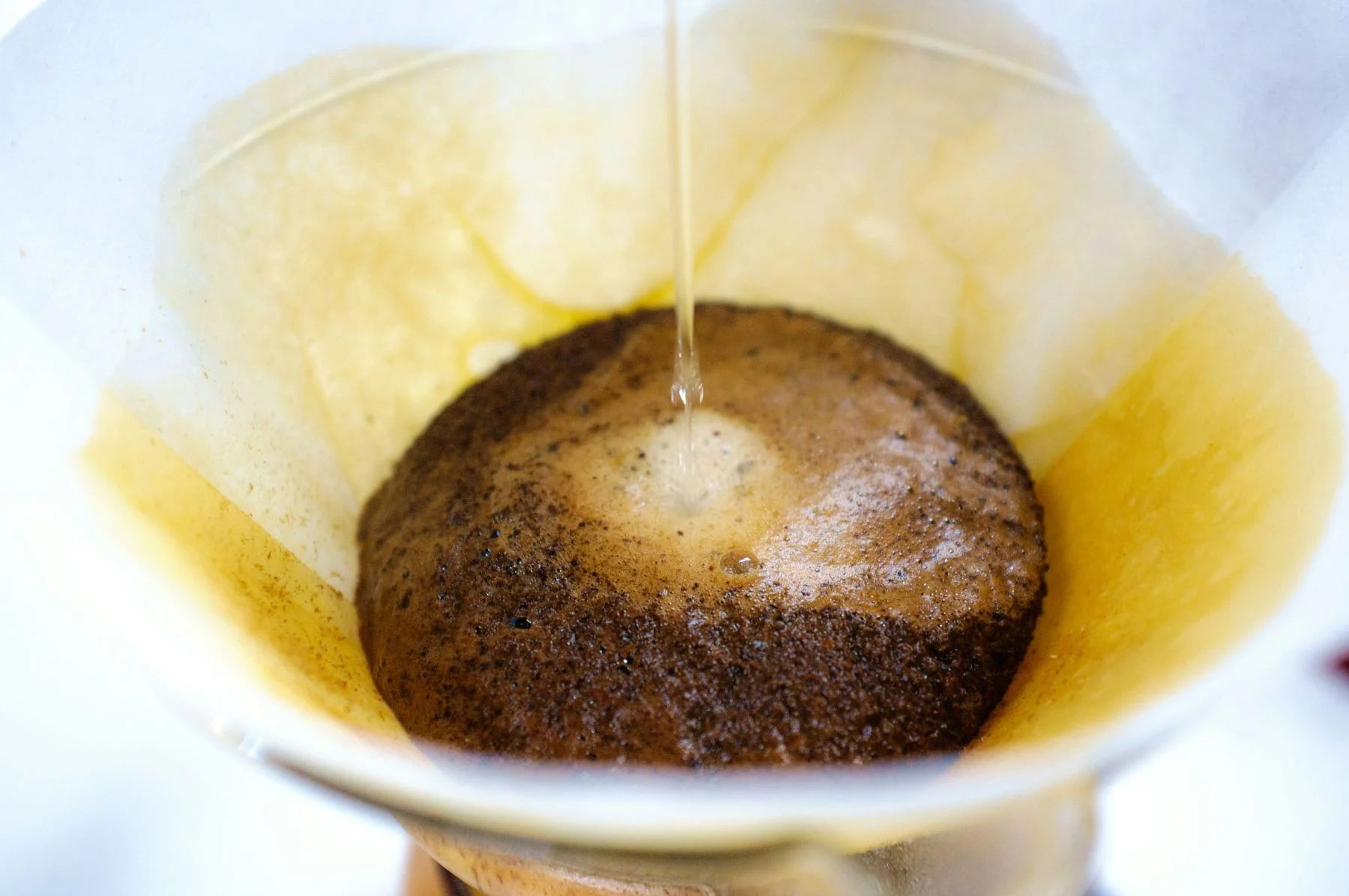 Jura CLARIS Filter Guide (2026): Which Filter, How Often, and Is It Worth It
