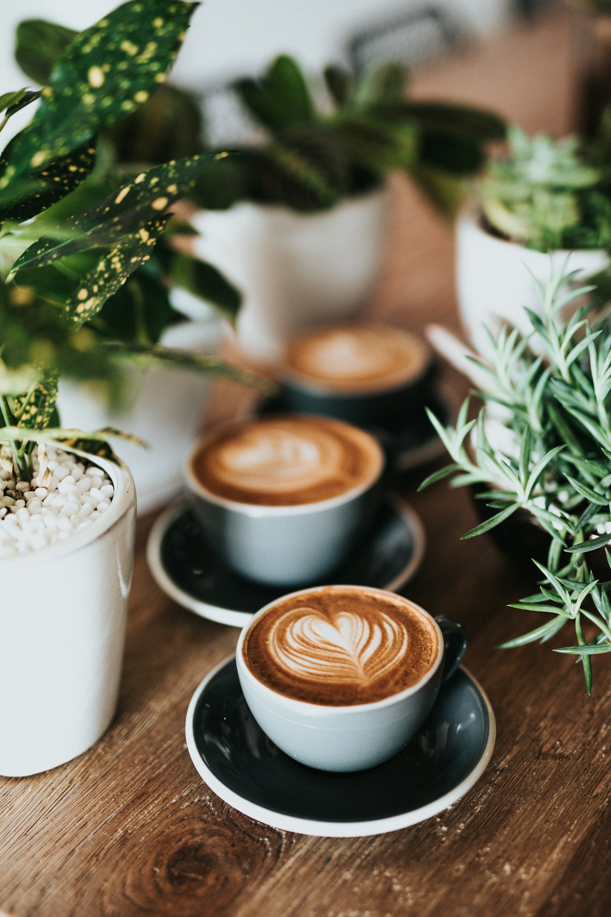 Espresso cups - illy works best as straight espresso, Lavazza handles milk drinks better